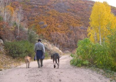 Thomas with his Danes Camelot and Rex