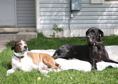 Relaxing after a walk,